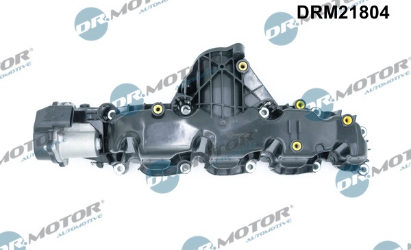 Inlaatspruitstuk module Dr.Motor Automotive DRM21804