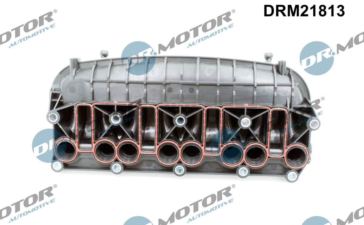 Dr.Motor Automotive Inlaatspruitstuk module DRM21813