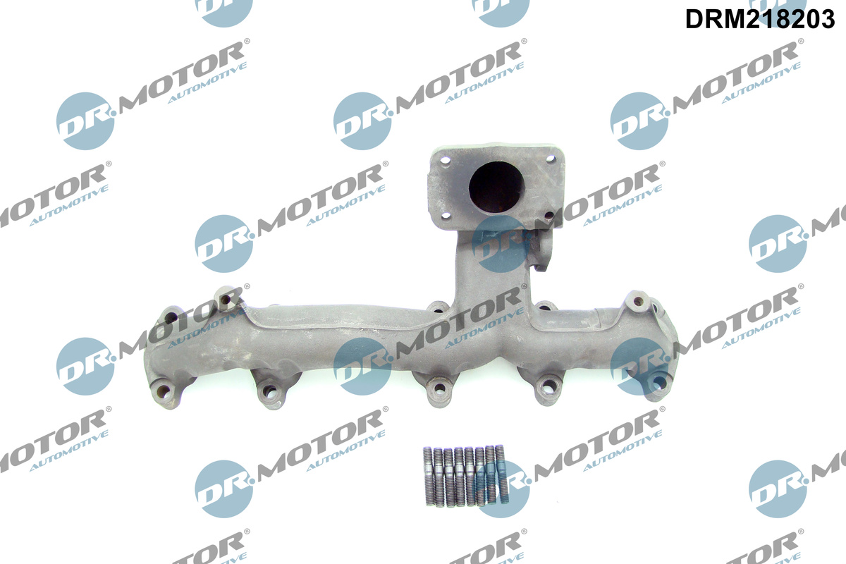 Spruitstuk Dr.Motor Automotive DRM218203