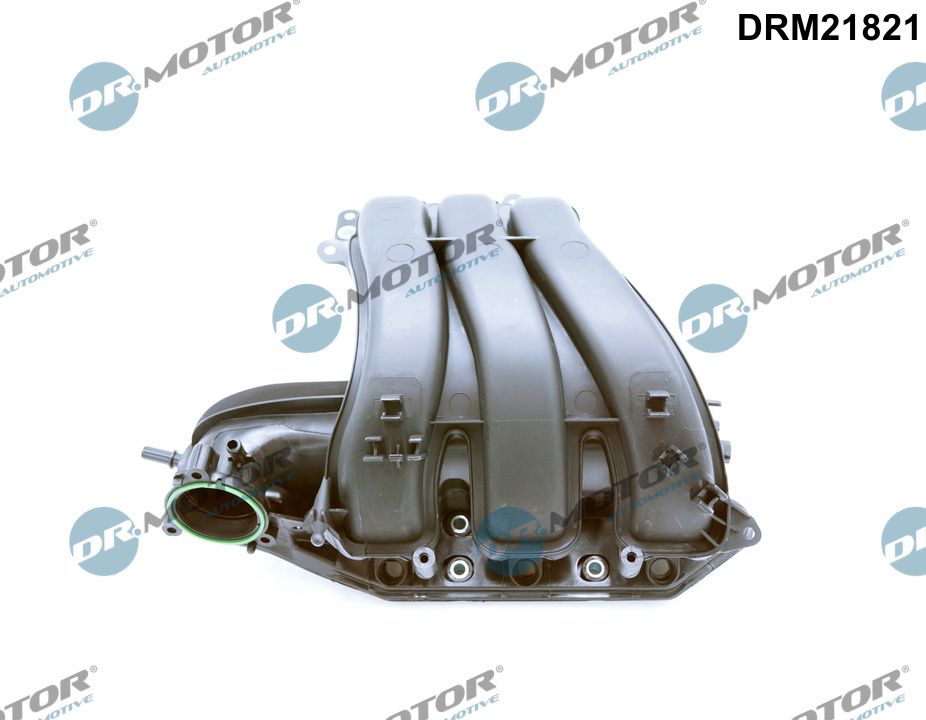 Inlaatspruitstuk module Dr.Motor Automotive DRM21821