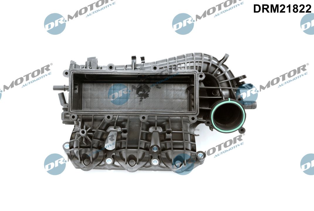 Inlaatspruitstuk module Dr.Motor Automotive DRM21822