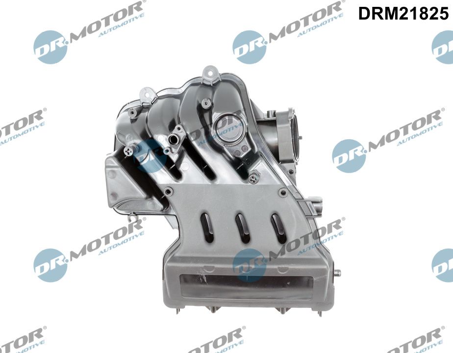 Inlaatspruitstuk module Dr.Motor Automotive DRM21825