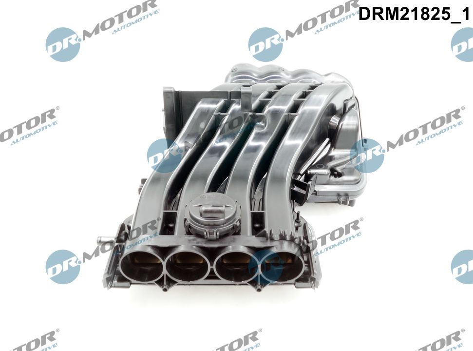 Dr.Motor Automotive Inlaatspruitstuk module DRM21825