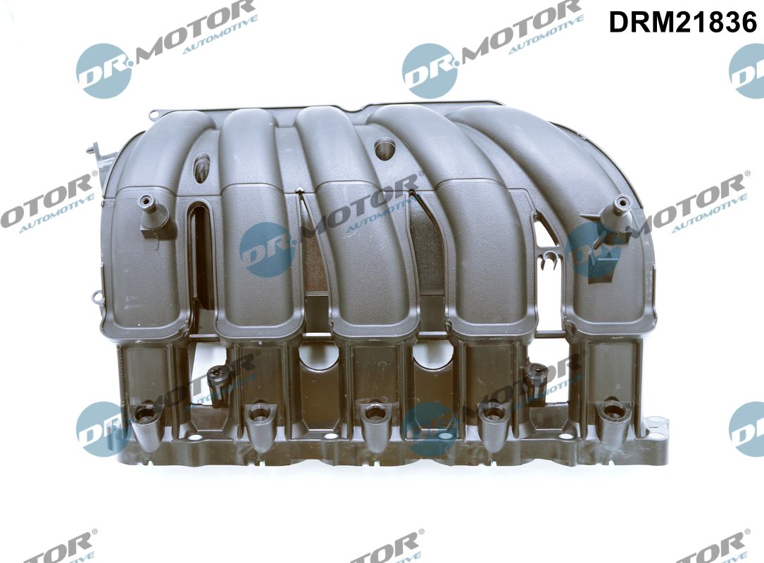 Inlaatspruitstuk module Dr.Motor Automotive DRM21836