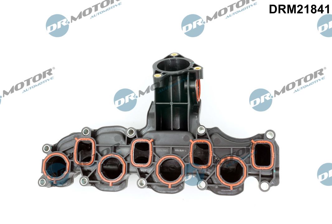 Inlaatspruitstuk module Dr.Motor Automotive DRM21841