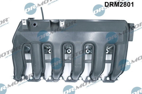 Inlaatspruitstuk module Dr.Motor Automotive DRM2801