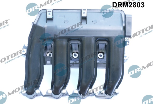 Inlaatspruitstuk module Dr.Motor Automotive DRM2803