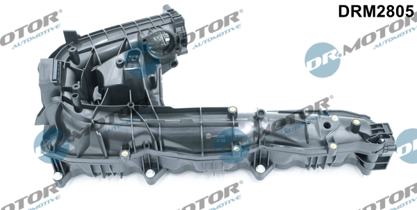 Inlaatspruitstuk module Dr.Motor Automotive DRM2805