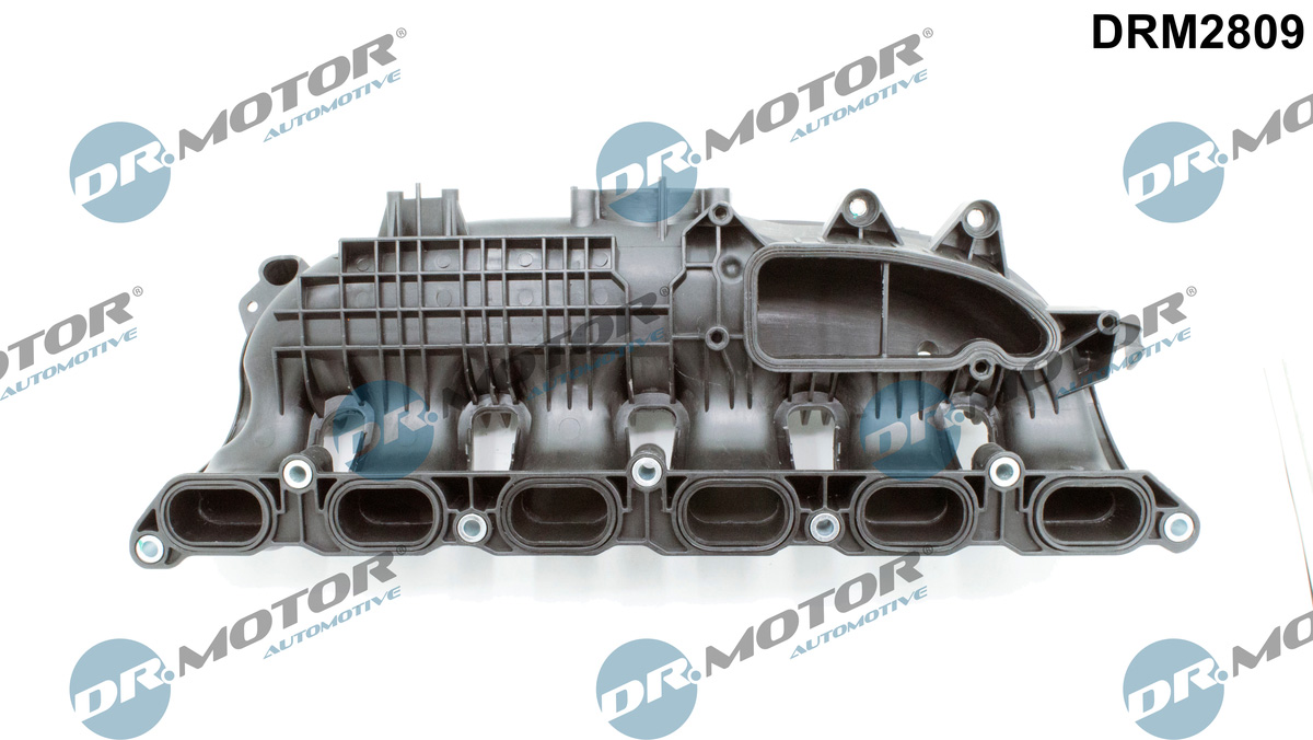 Inlaatspruitstuk module Dr.Motor Automotive DRM2809