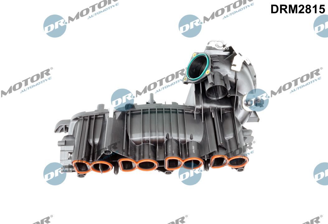 Inlaatspruitstuk module Dr.Motor Automotive DRM2815