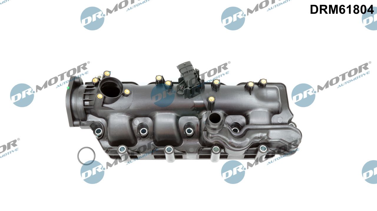 Inlaatspruitstuk module Dr.Motor Automotive DRM61804