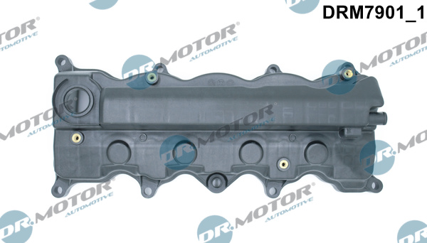 Kleppendeksel Dr.Motor Automotive DRM7901