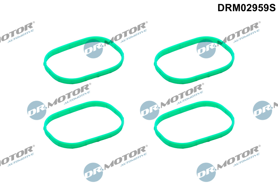 Pakkingset, inlaatspruitstuk Dr.Motor Automotive DRM02959S