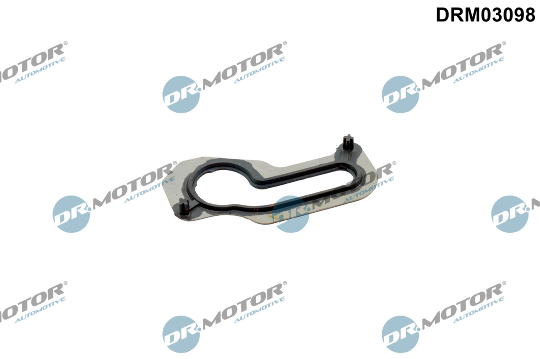 Pakking, Carter Dr.Motor Automotive DRM03098