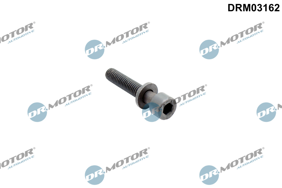 Schroef, inspuitstukhouder Dr.Motor Automotive DRM03162