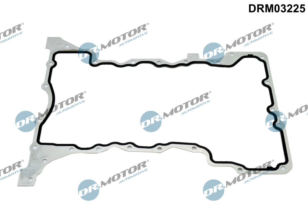Pakking, Carter Dr.Motor Automotive DRM03225
