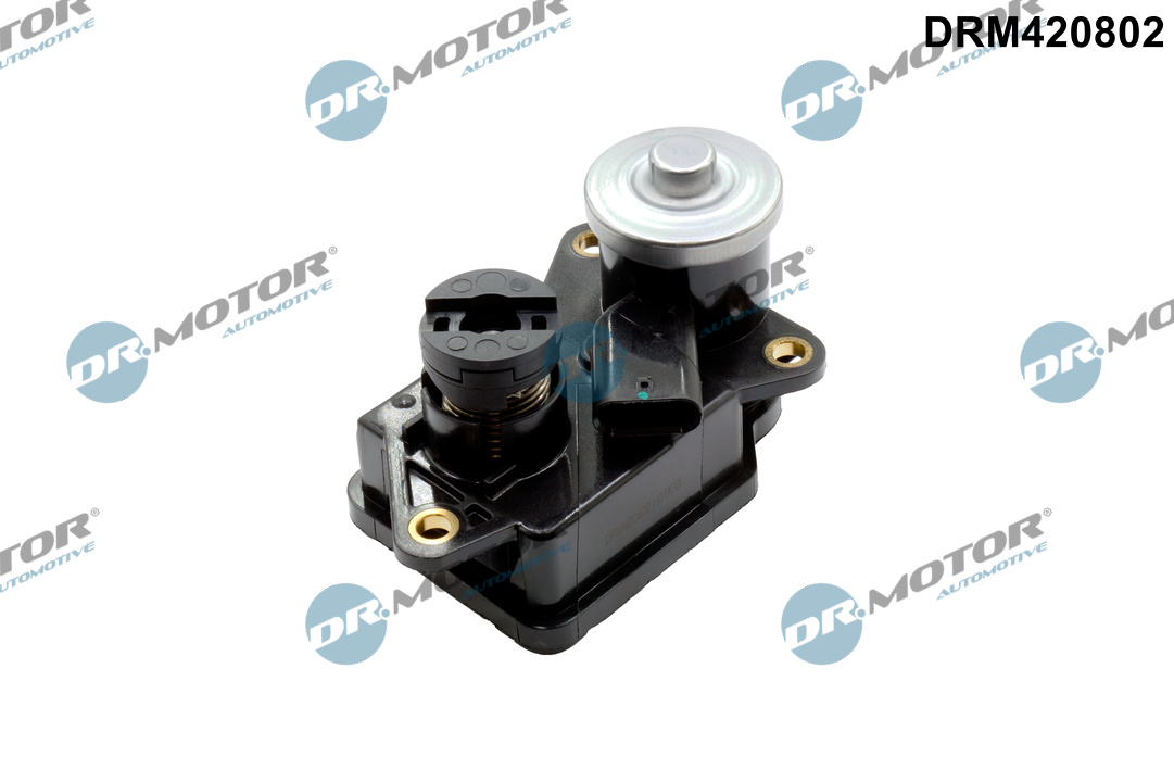 Afstelelement, drallklep(zuigleiding) Dr.Motor Automotive DRM420802