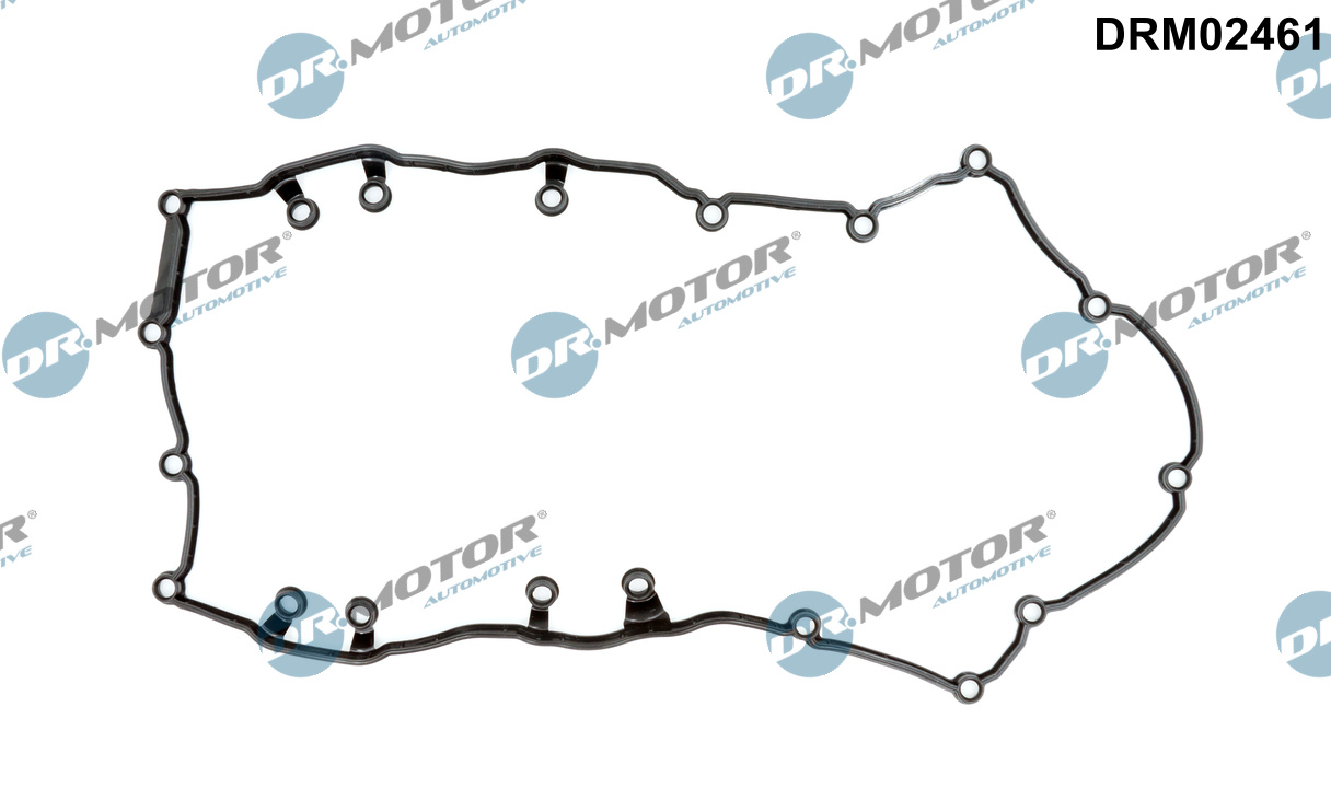 Pakking, Carter Dr.Motor Automotive DRM02461