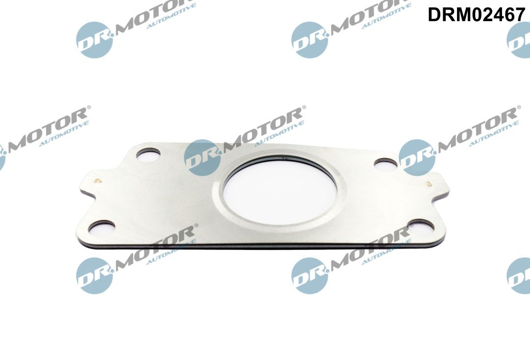 Pakking, turbolader Dr.Motor Automotive DRM02467