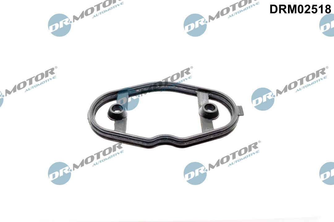 Pakking, brandstofpomp Dr.Motor Automotive DRM02518