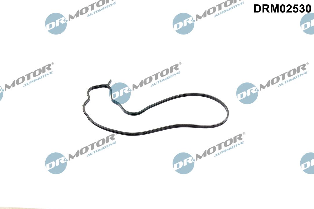 Pakking, waterpomp Dr.Motor Automotive DRM02530