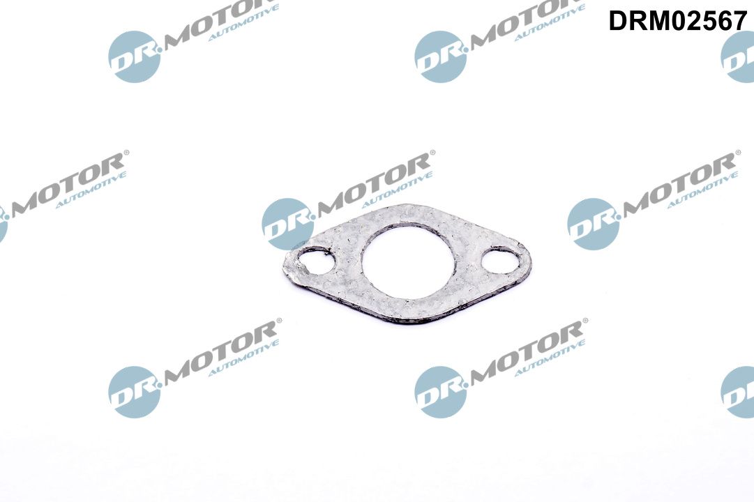 Afdichting, secundaire luchtklep Dr.Motor Automotive DRM02567