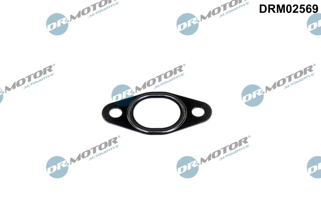 Dichtring, leiding EGR-klep Dr.Motor Automotive DRM02569