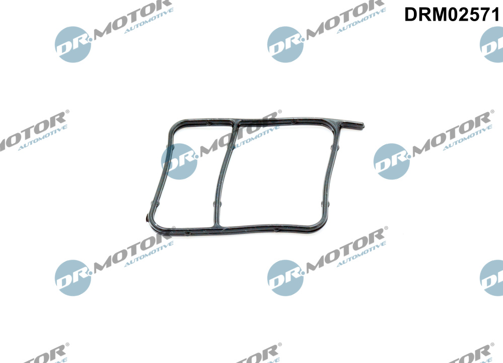 Pakking, waterpomp Dr.Motor Automotive DRM02571