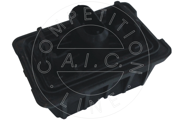 AIC Kriksteun 55714