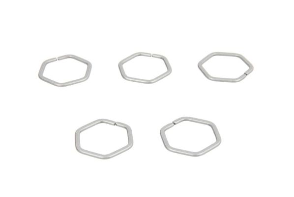 Afstandsschijf Engitech ENT250317/101