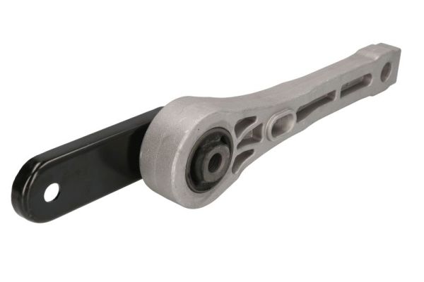 Aslichaam-/motorsteunlager Reinhoch RH11-0070