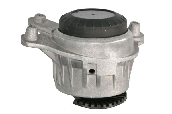 Reinhoch Motorsteun RH11-3096