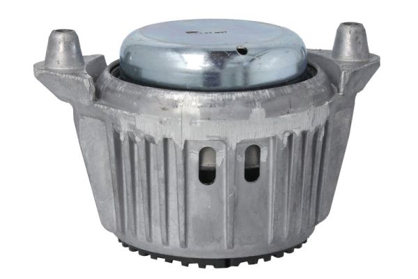 Reinhoch Motorsteun RH11-3119