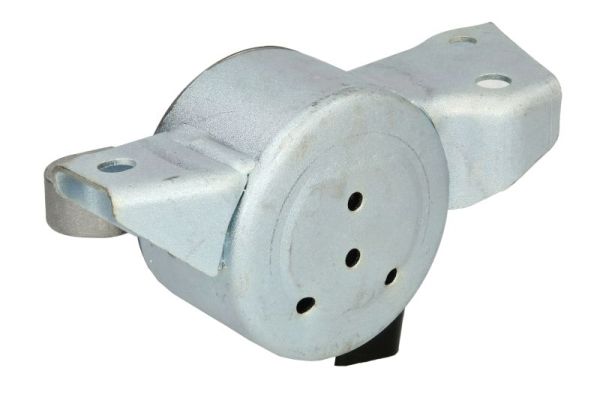 Reinhoch Motorsteun RH11-5080
