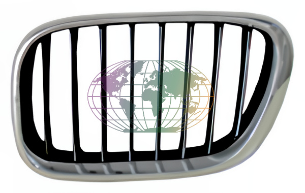 Grille Bodermann 1606352