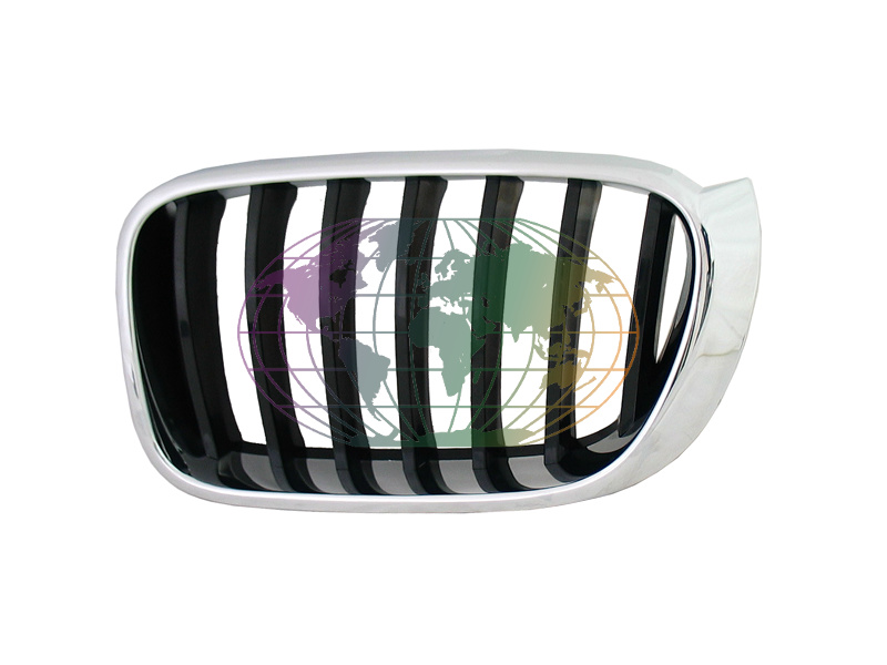 Grille Bodermann 1643352