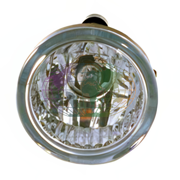 Mistlamp Bodermann 2271290