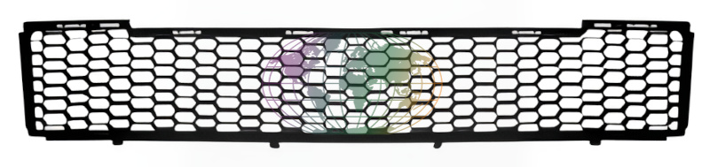 Grille Bodermann 3221360