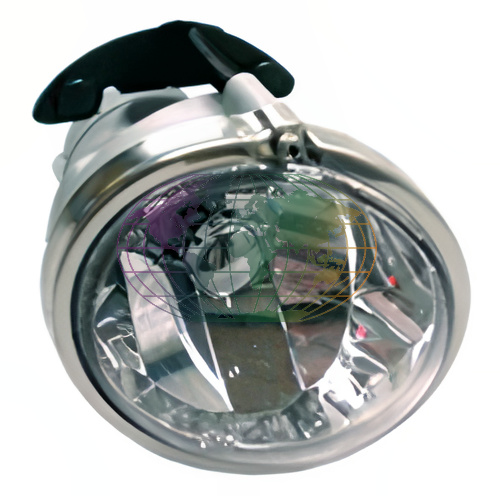 Mistlamp Bodermann 4463295