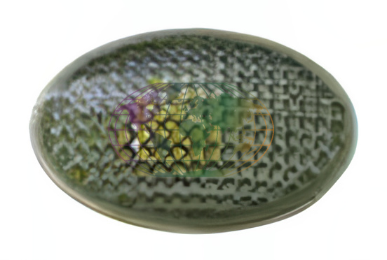 Knipperlicht Bodermann 6438320