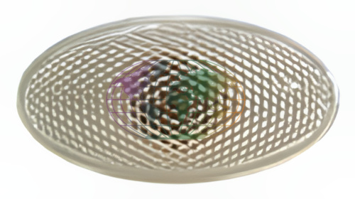 Knipperlicht Bodermann 8227310