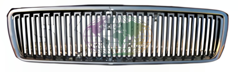 Grille Bodermann 9675350