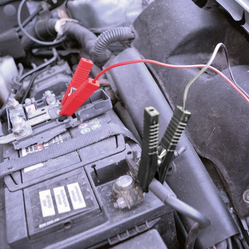 Carpoint Carpoint Acculader 8A 0635208