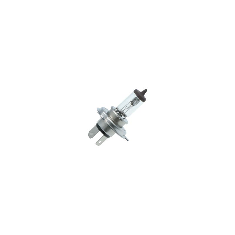 Carpoint Carpoint Premium Autolamp H4 12V 60/55W 0760041