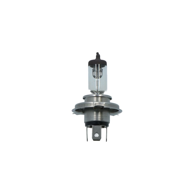 Carpoint Carpoint Longlife Autolamp H4 12V 60/55W 0760042