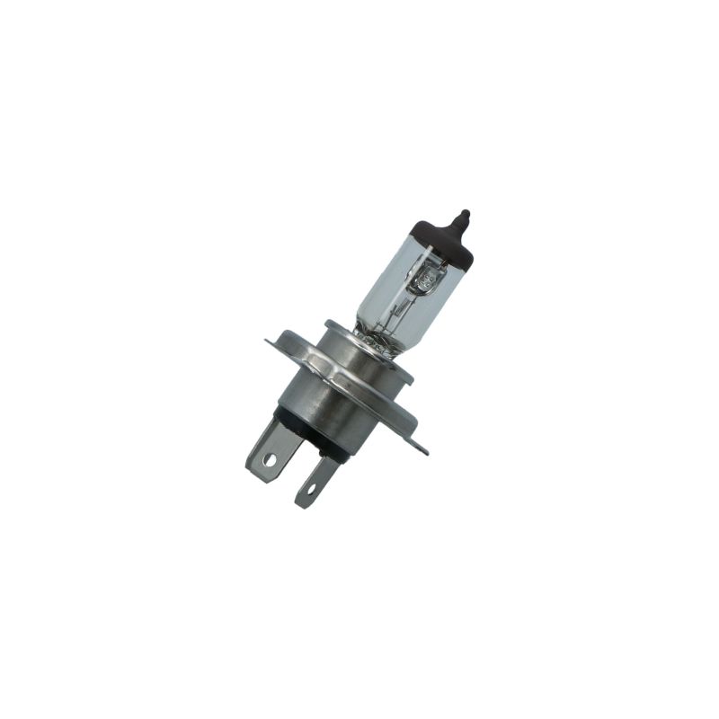 Carpoint Carpoint Longlife Autolamp H4 12V 60/55W 0760042