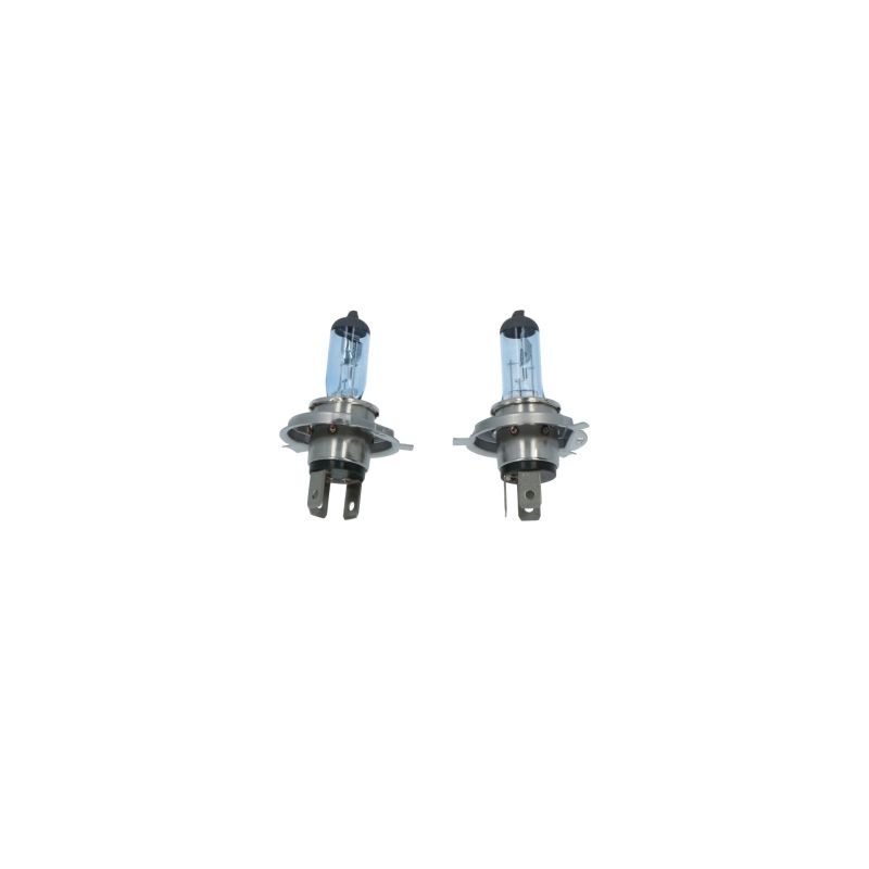Carpoint Carpoint Superwhite Autolampen H4 12V 60/55W 2 Stuks 0760044