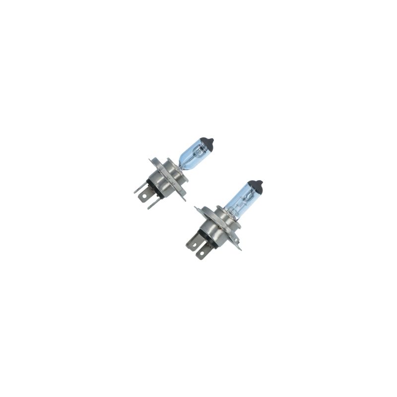 Carpoint Carpoint Superwhite Autolampen H4 12V 60/55W 2 Stuks 0760044
