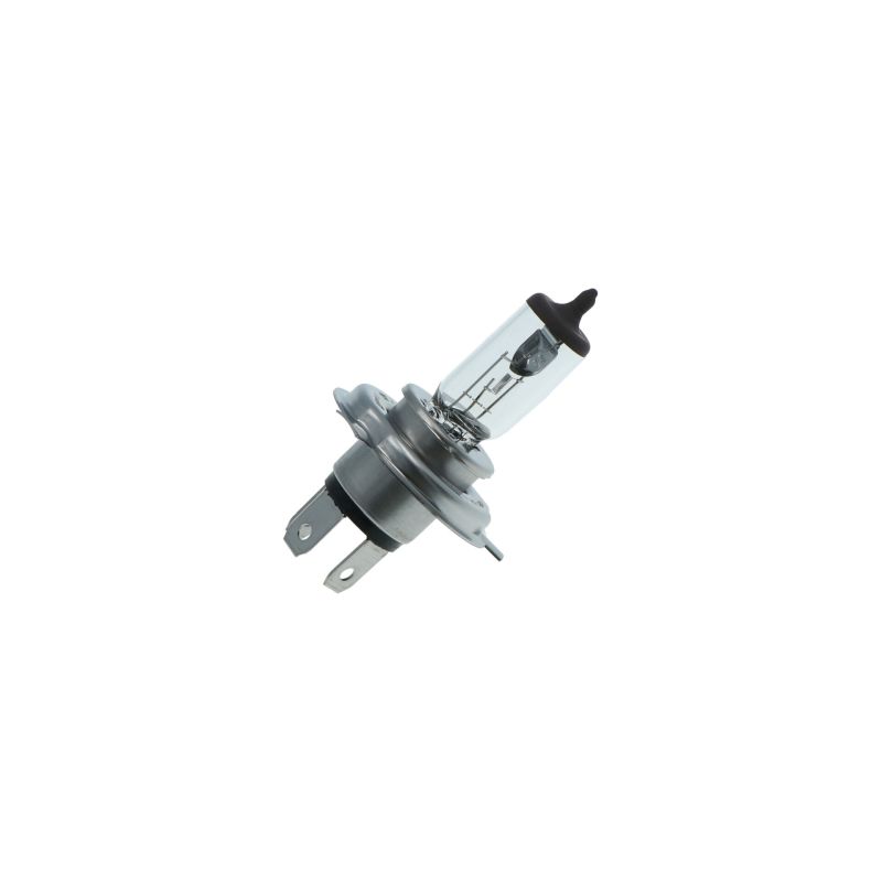 Carpoint Carpoint Ultrabright Autolamp H4 12V 60/55W 0760045