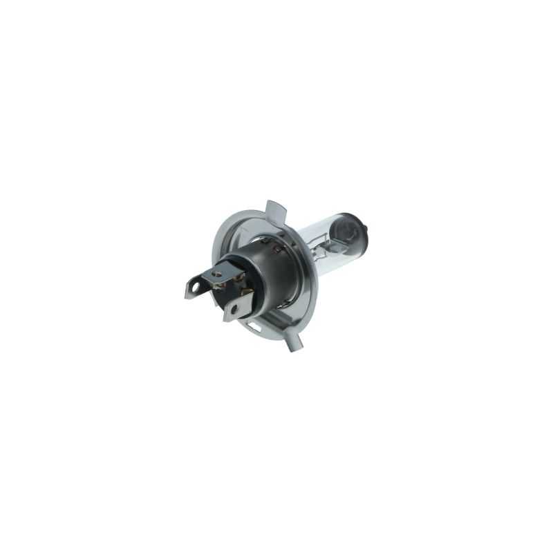 Carpoint Carpoint Ultrabright Autolamp H4 12V 60/55W 0760045